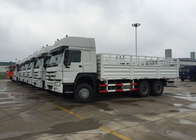 Euro di LHD dei furgoni 25 - 30 del carico veicolo utilitario del camion 371HP tonnellate/RHD 2 266 -
