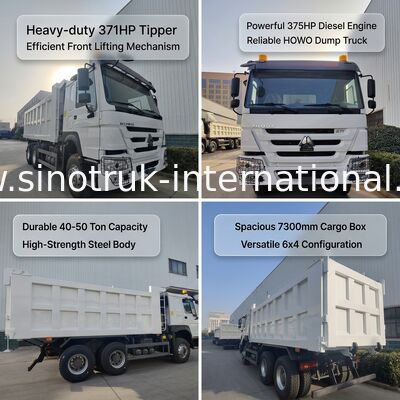 SINOTRUK HOWO 371HP Camionetto pesante con 10 ruote e scatola di carico rettangolare