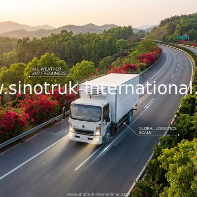SINOTRUK HOWO un camion refrigerato 160HP RHD da 10 tonnellate