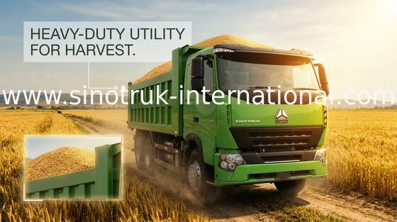 Autocarro con cassone ribaltabile pesante di SINOTRUK HOWO RHD 6X4 per caricamento del materiale da costruzione