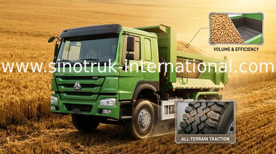 Autocarro con cassone ribaltabile resistente del ribaltatore di SINOTRUK HOWO ZZ3257N3647A per i lavori pubblici