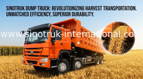 L'autocarro con cassone ribaltabile SINOTRUK HOWO 371HP 12 spinge LHD 31tons 20-30CBM ZZ3317N3867W