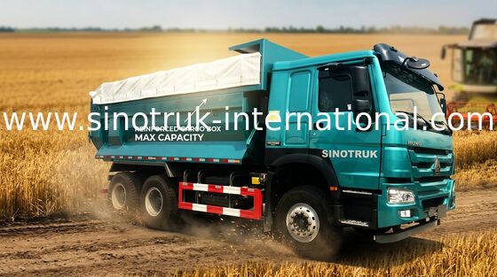 Autocarro con cassone ribaltabile della ruota dello spreco 10 della costruzione, autocarro a cassone di Howo dell'euro 2 di lavori pubblici