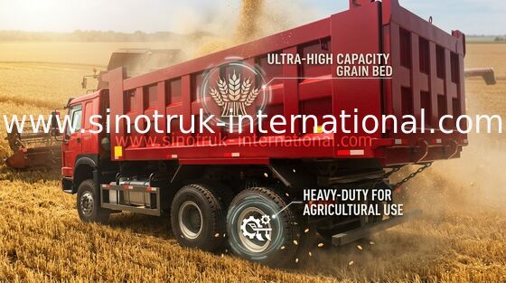 Autocarro con cassone ribaltabile di LHD 6X4 SINOTRUK HOWO con MINI WD615.47 dei giocatori 30 - 40 motore di tonnellata