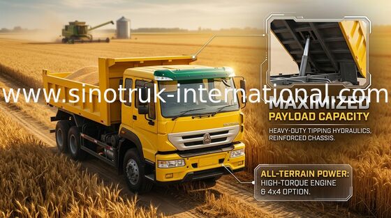Autocarro con cassone ribaltabile del ribaltatore di Commerical 290HP 4X2 LHD 16tons 9-13CBM ZZ3161M4011C1