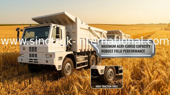 70 tonnellate del ribaltatore di autocarro con cassone ribaltabile SINOTRUK HOWO70 che estrae LHD 6X4 420HP