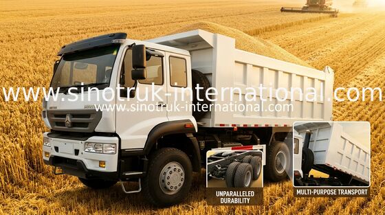 Autocarro con cassone ribaltabile dorato 10Wheels 336HP LHD 25-30tons ZZ3251N3641W di principe di SINOTRUK