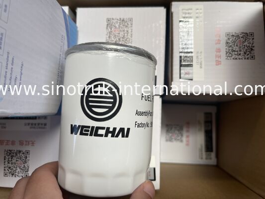 Filtro carburante WG9412551301/2 Originale di fabbrica