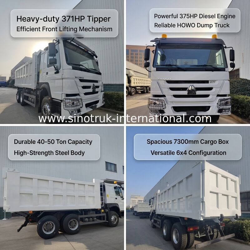 SINOTRUK HOWO 371HP Camionetto pesante con 10 ruote e scatola di carico rettangolare