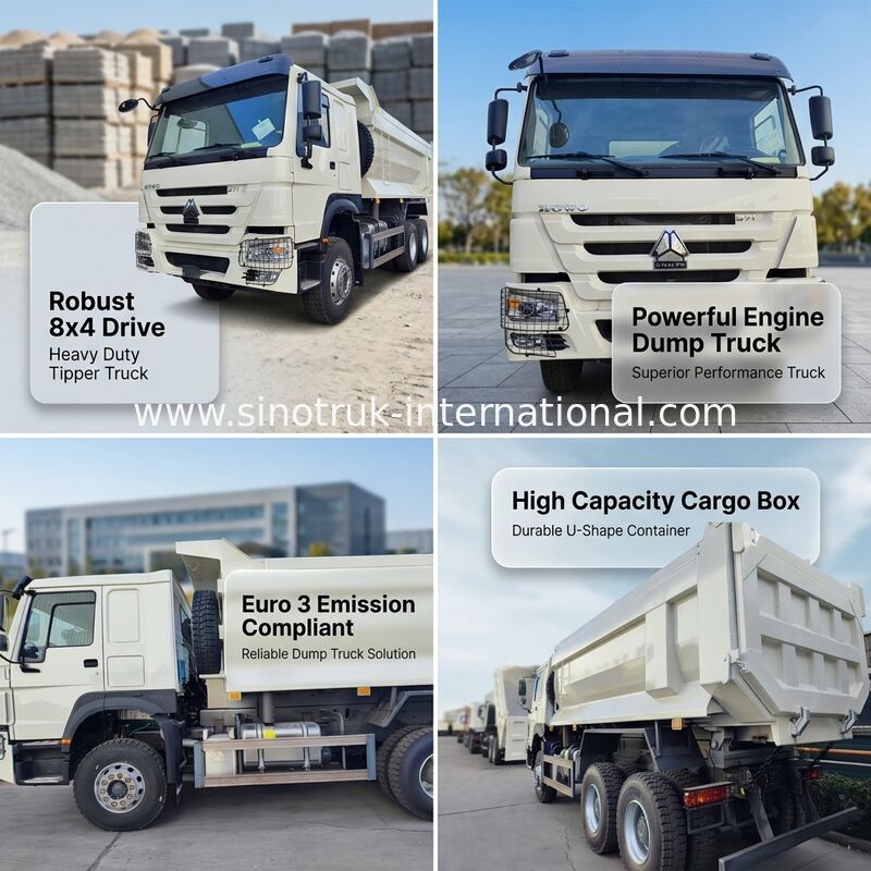 SITRAK 10 ruote di tipper Dump Truck con emissione Euro 3 e motore da 430 CV
