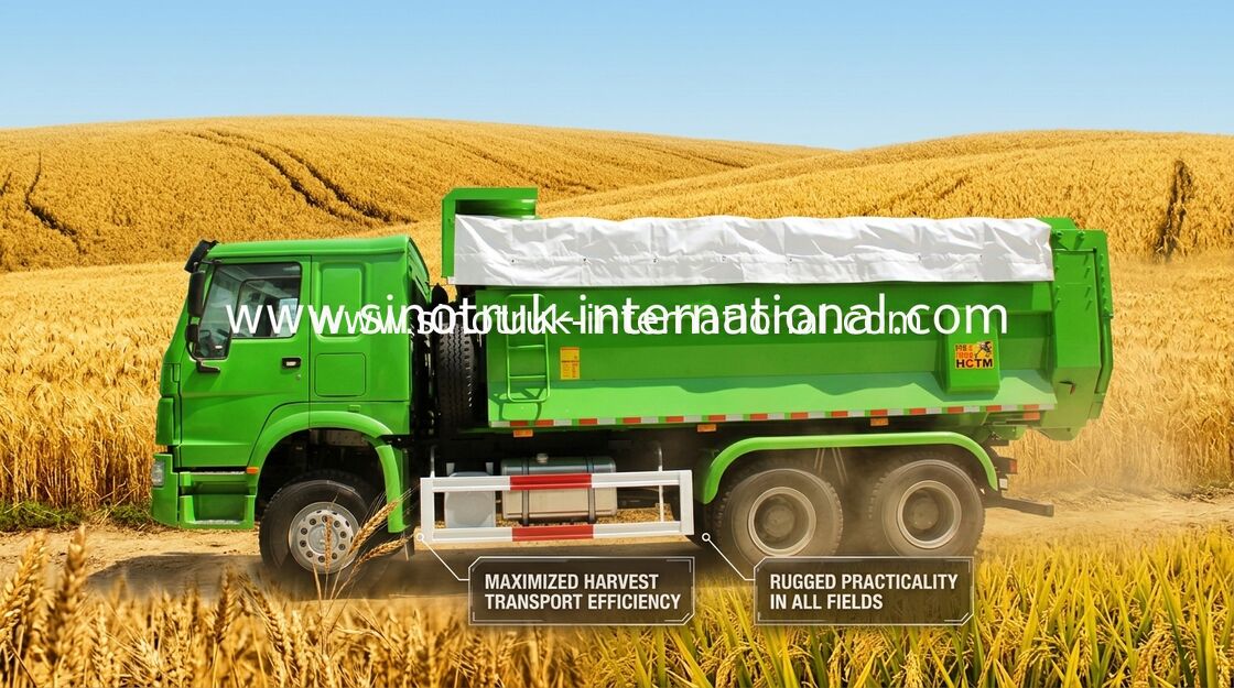 L'autocarro con cassone ribaltabile resistente municipale del ribaltatore SINOTRUK HOWO LHD 336HP 10 spinge