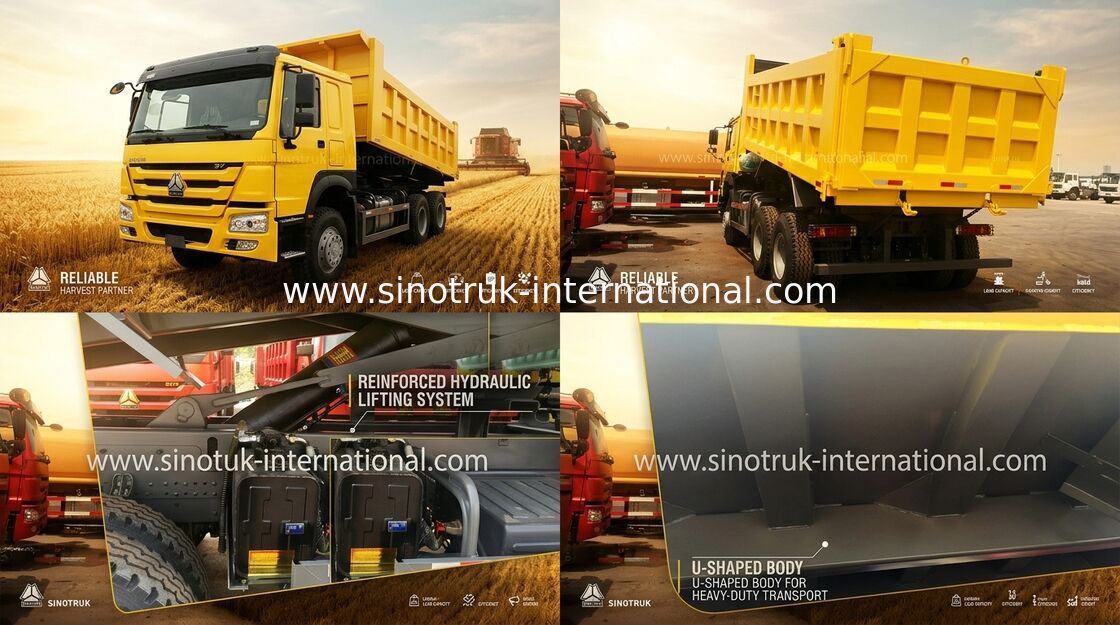 Autocarro con cassone ribaltabile di sollevamento anteriore del ribaltatore 4×2, 4×4, 6×2, 6×6 che guida motore abbastanza forte