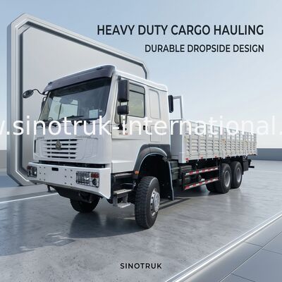 Sinotruk Howo Nuovo camion da carico 6 × 6 a trazione integrale Lhd 10 ruote