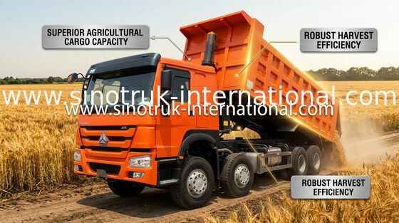 L'autocarro a cassone SINOTRUK HOWO 371HP 12 spinge LHD 31 tonnellata di 20-30CBM ZZ3317N3567W