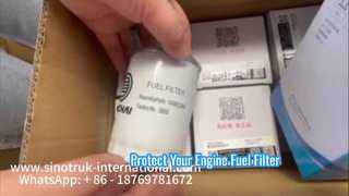 Elemento filtro carburante 1000622860